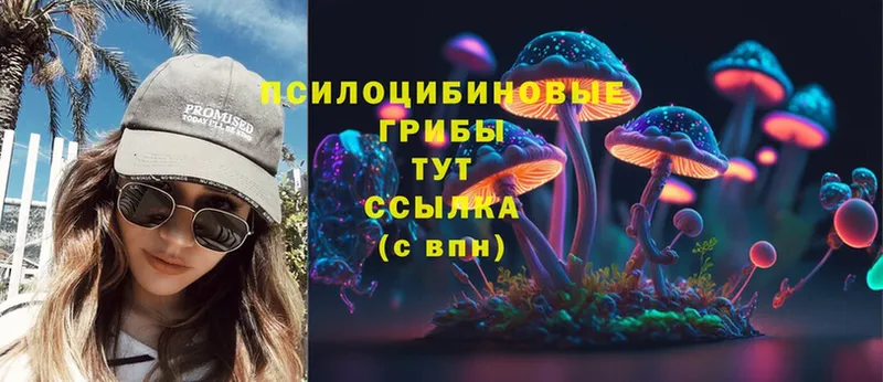 сайты даркнета Telegram  Кировград  Псилоцибиновые грибы Psilocybine cubensis 